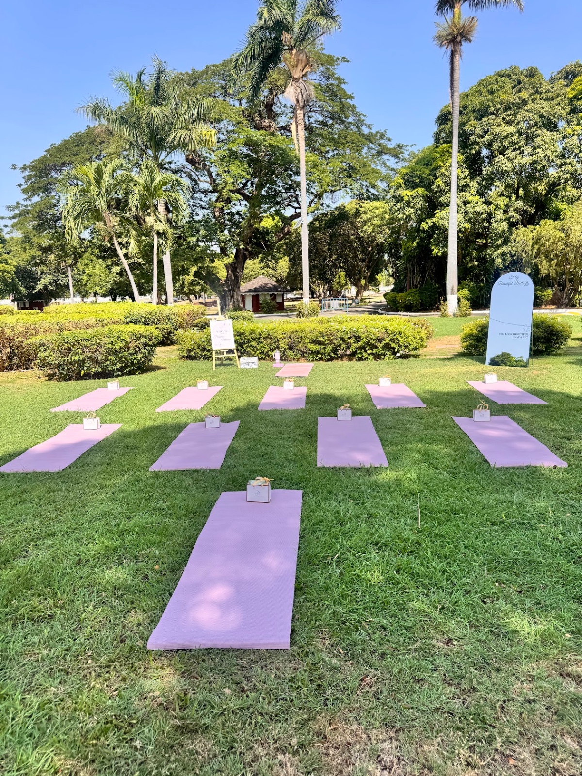 Outdoor pilates session with pink yoga mats